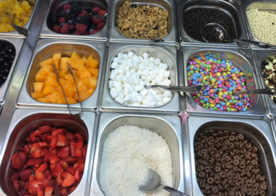 Gelateria Mamo' - Yogurt con frutta fresca, smarties, cocco